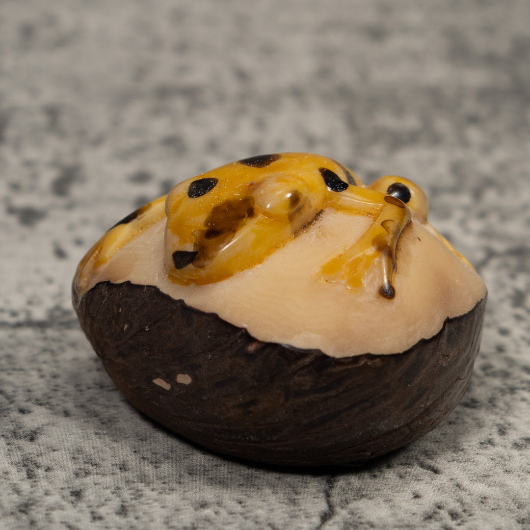 Vintage Black And Gold Frog Tagua Carving