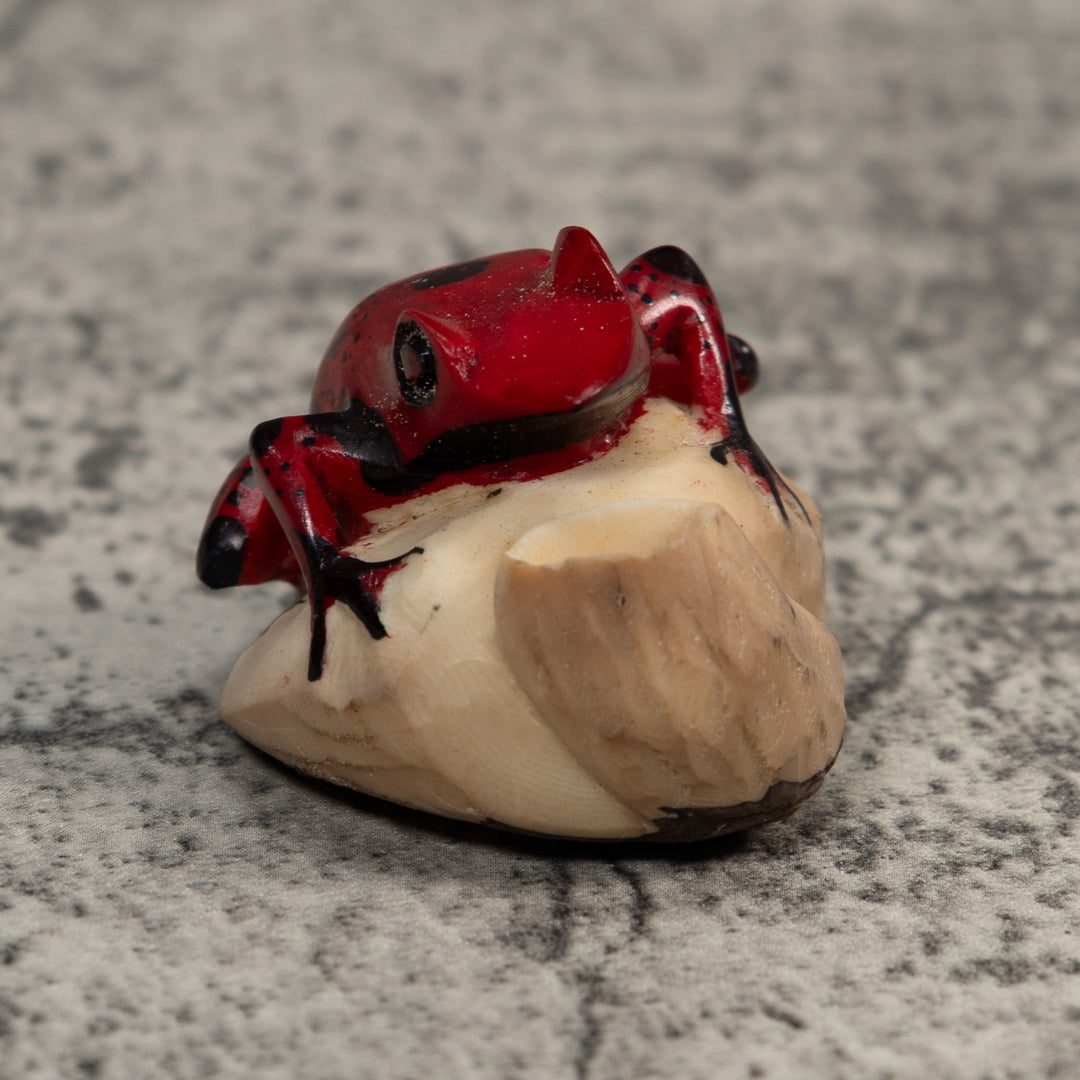 Red And Black Poison Dart Frog Tagua Carving