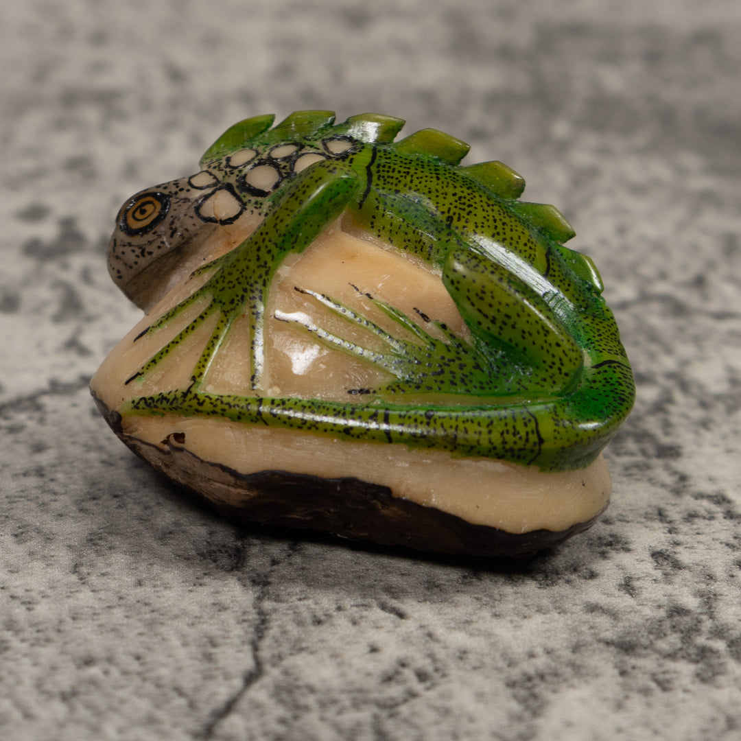 Iguana Lizard Reptile Tagua Carving