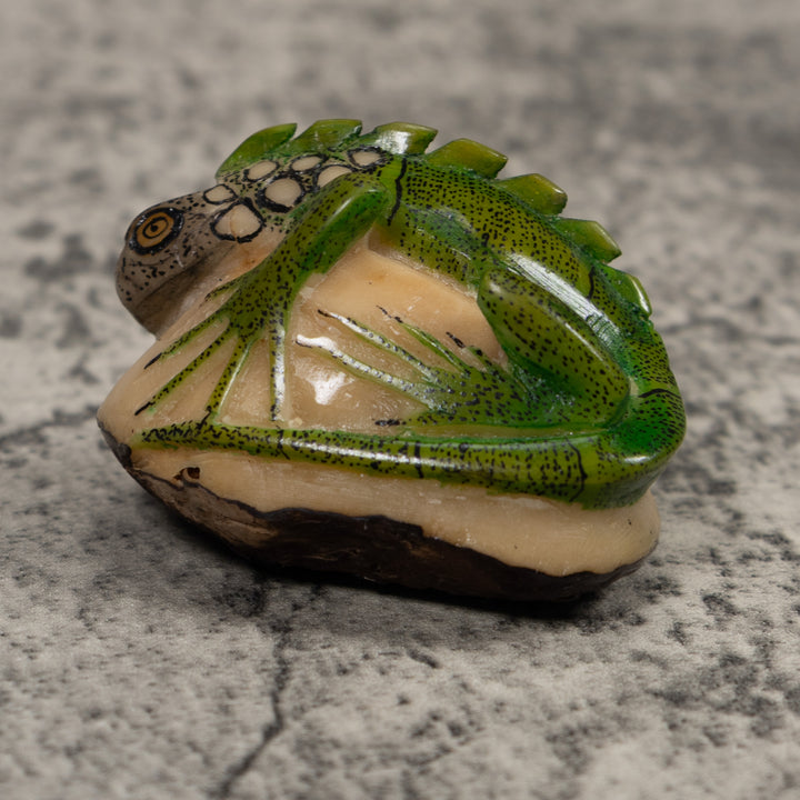 Iguana Lizard Reptile Tagua Carving