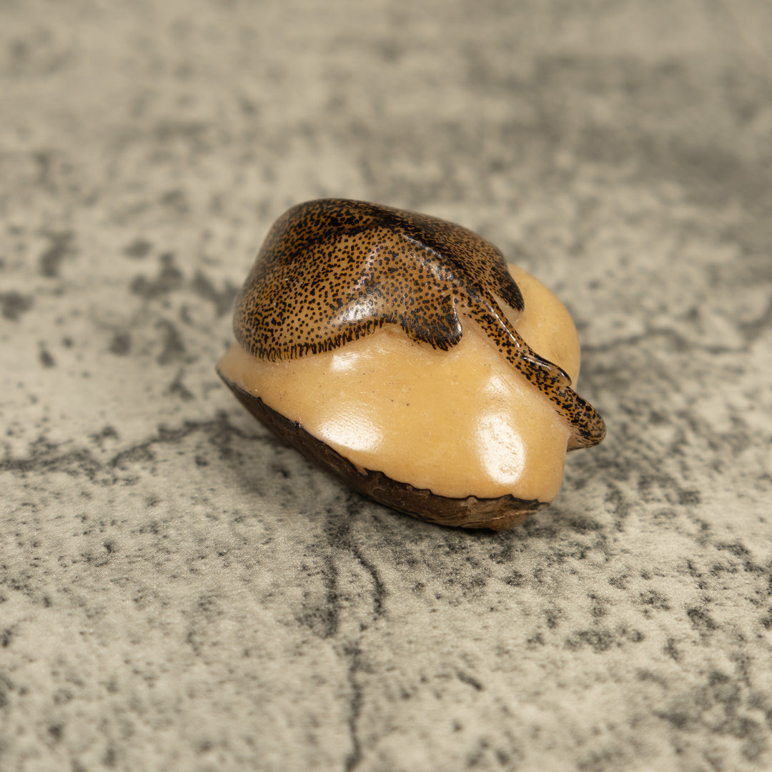 Vintage Sea Singray Tagua Carving