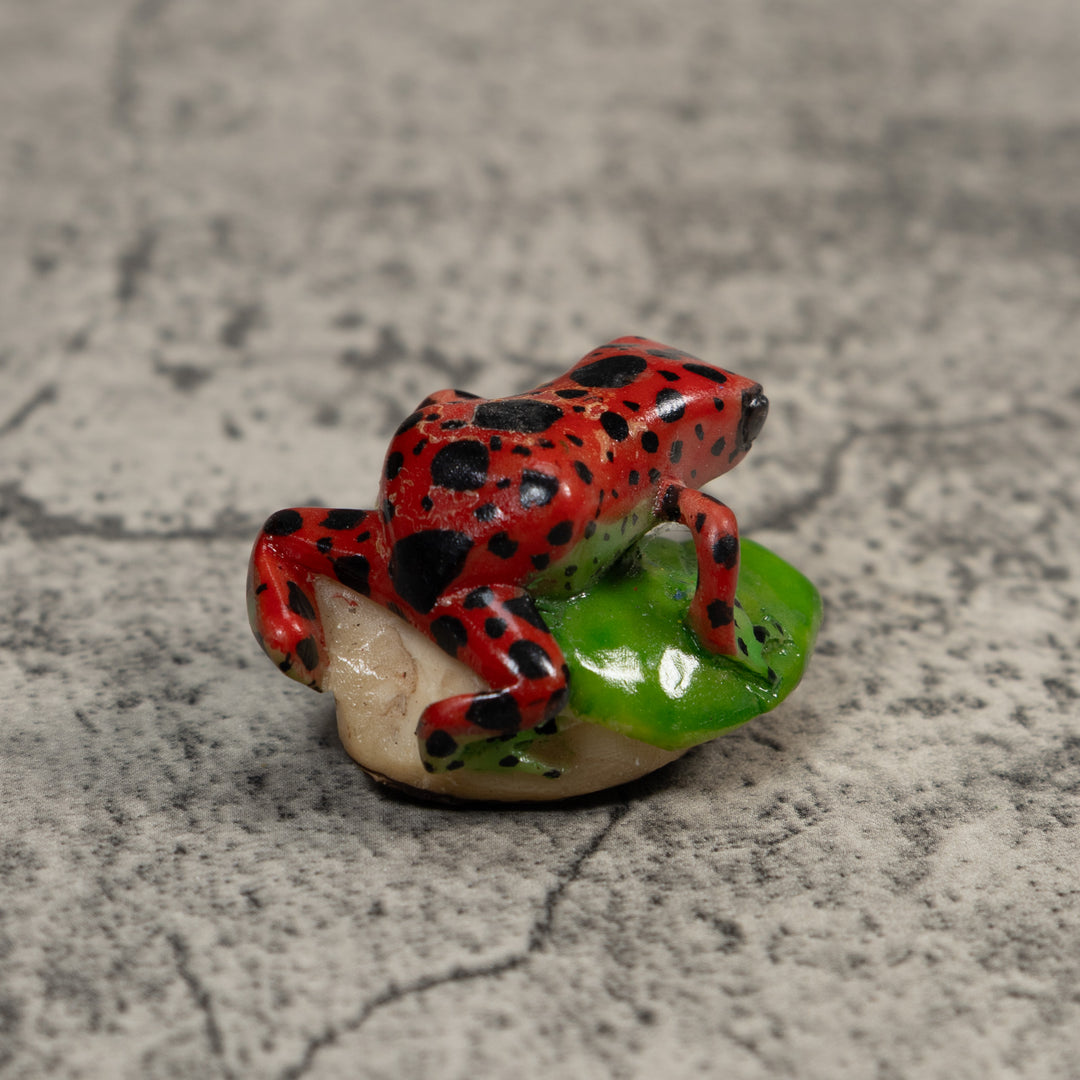 Red Black And Green Poison Dart Frog Tagua Carving