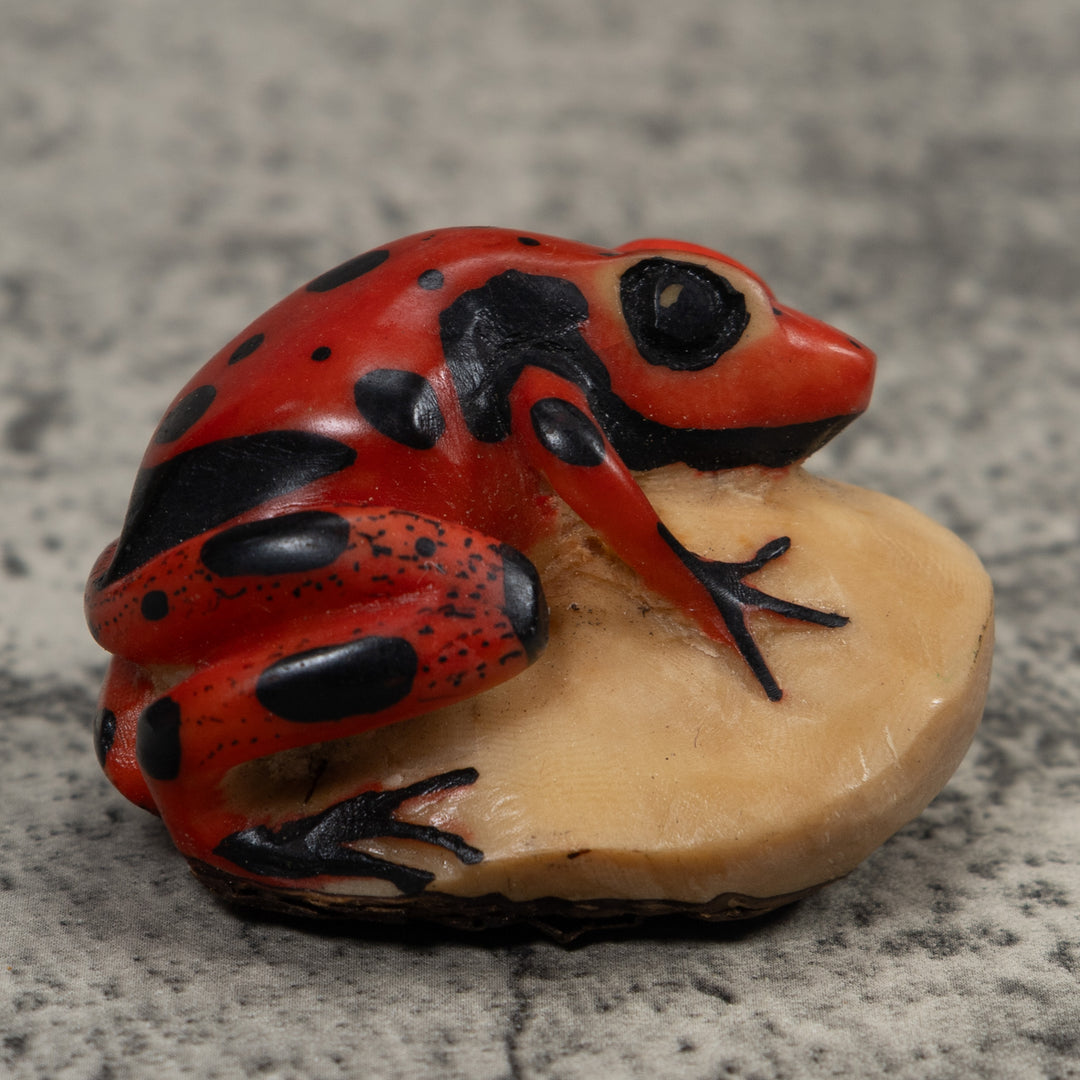 Vintage Red Poison Dart Frog Tagua Carving