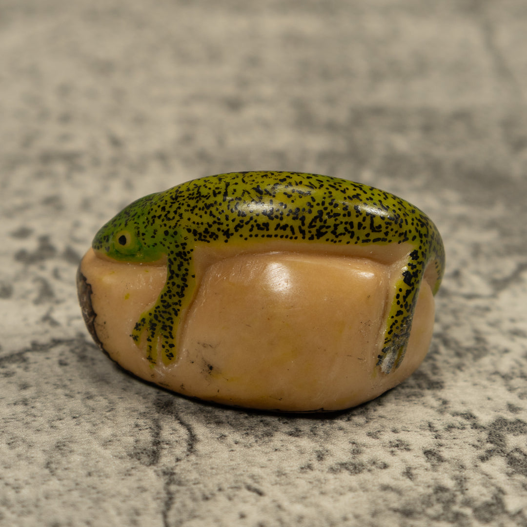 Green Gecko Lizard Tagua Carving