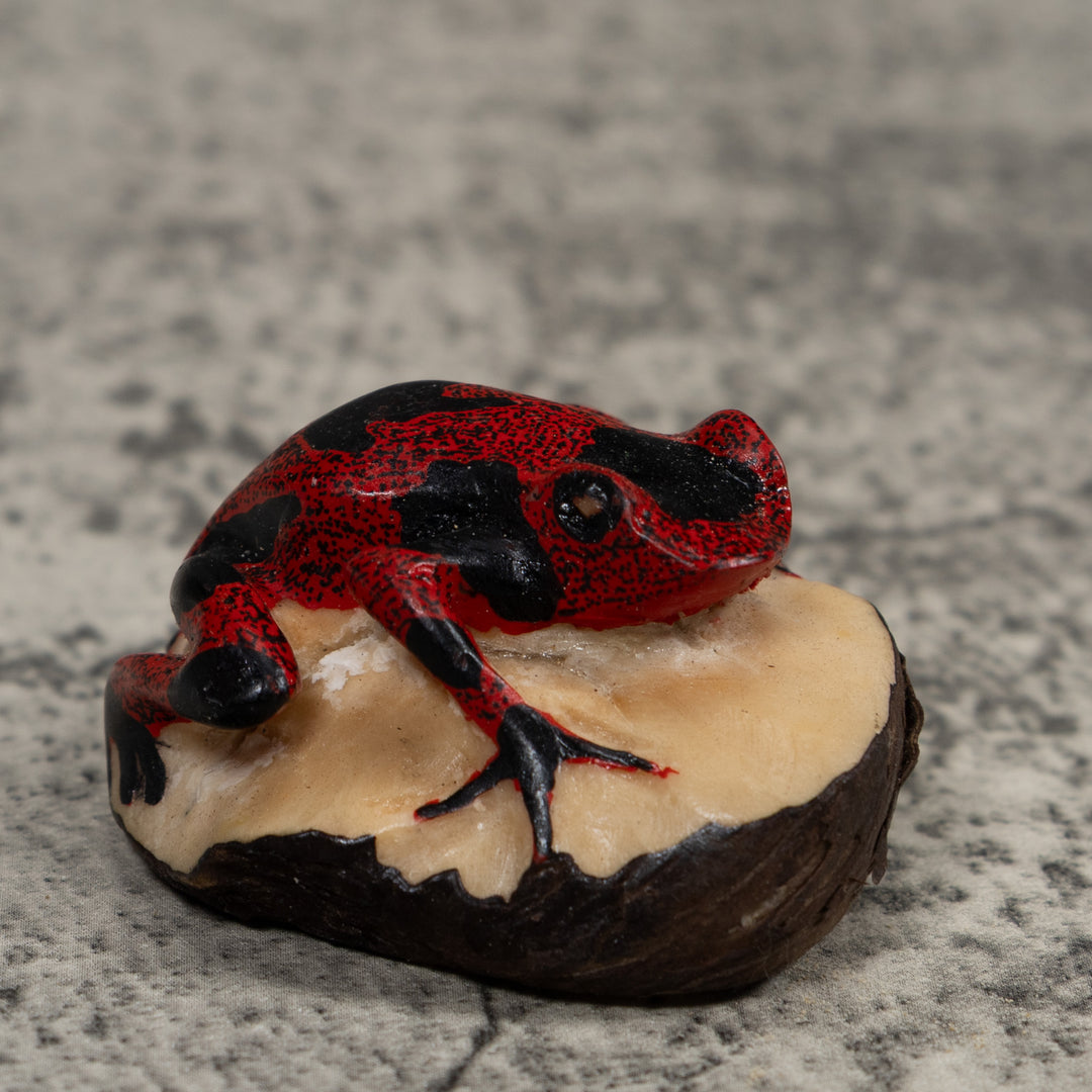 Vintage Red And Black Frog Tagua Carving