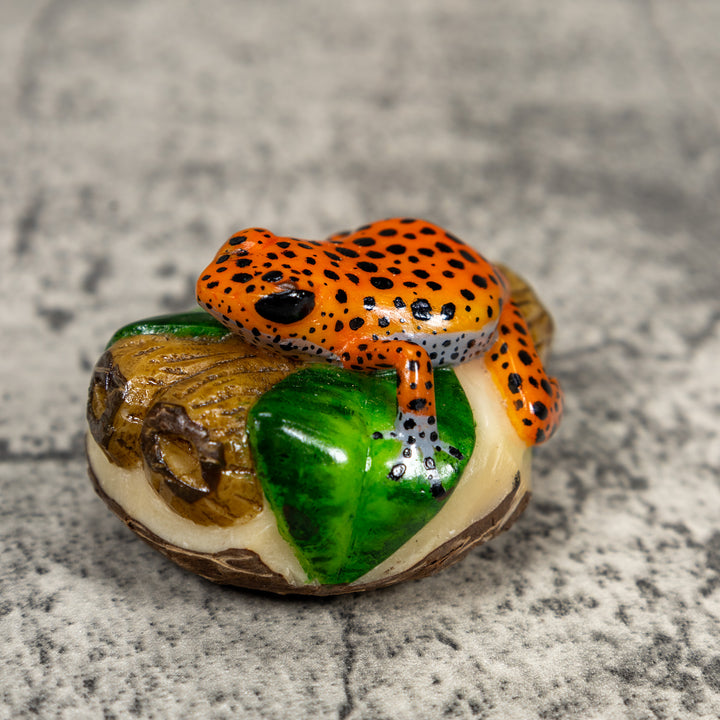Black And Orange Poison Dart Frog Tagua Carving