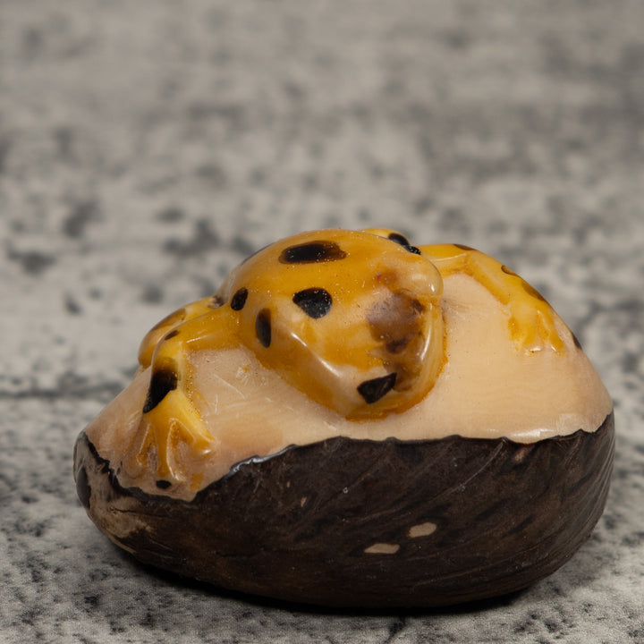 Vintage Black And Gold Frog Tagua Carving