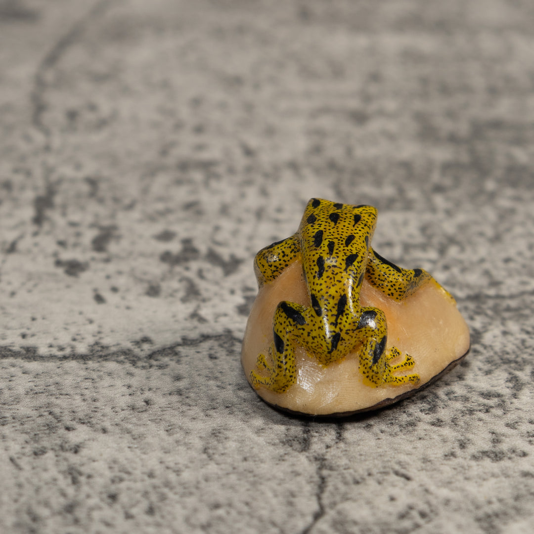 Yellow And Black Poison Dart Frog Tagua Carving