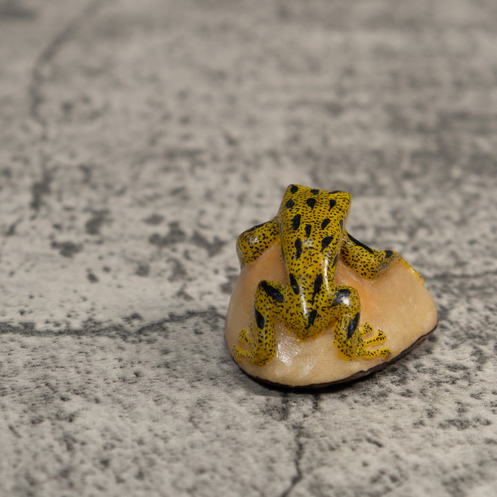 Yellow And Black Poison Dart Frog Tagua Carving
