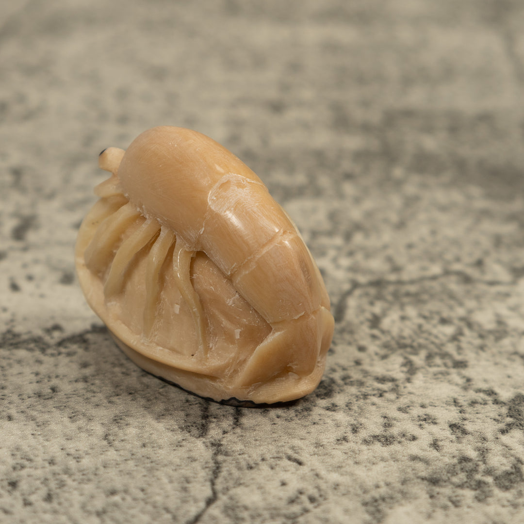 Vintage White Shrimp Tagua Carving