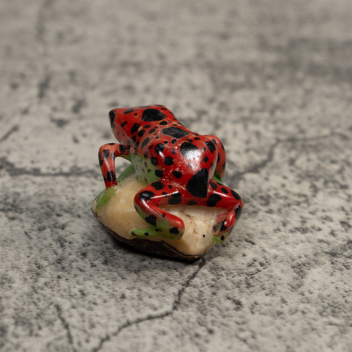 Red Black And Green Poison Dart Frog Tagua Carving