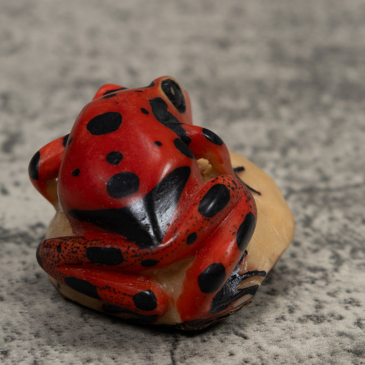 Vintage Red Poison Dart Frog Tagua Carving