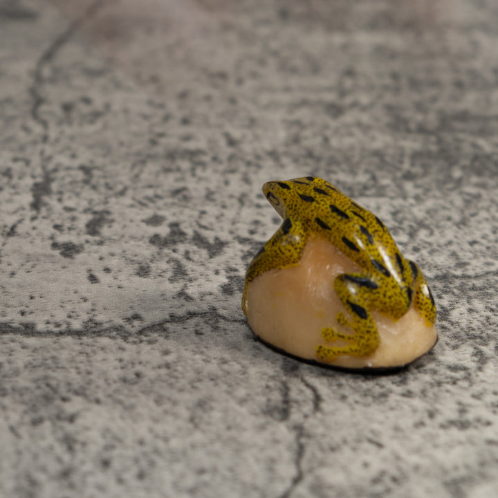 Yellow And Black Poison Dart Frog Tagua Carving