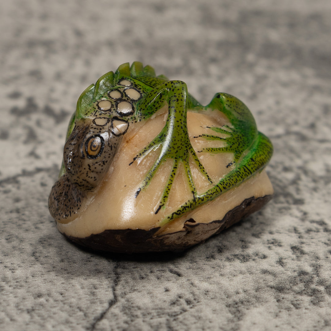 Iguana Lizard Reptile Tagua Carving