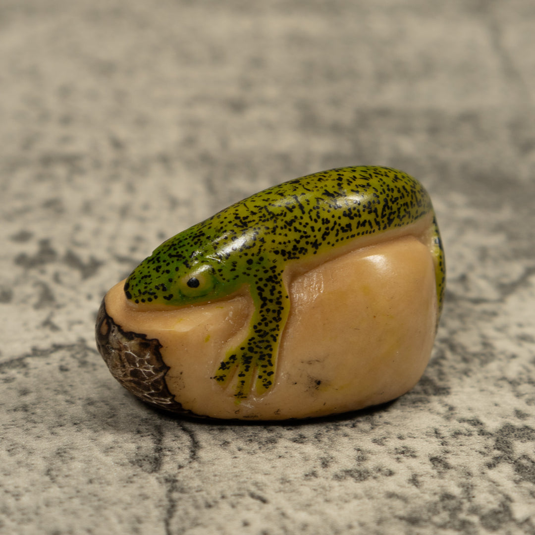 Green Gecko Lizard Tagua Carving