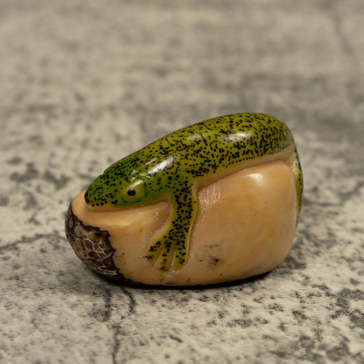 Green Gecko Lizard Tagua Carving
