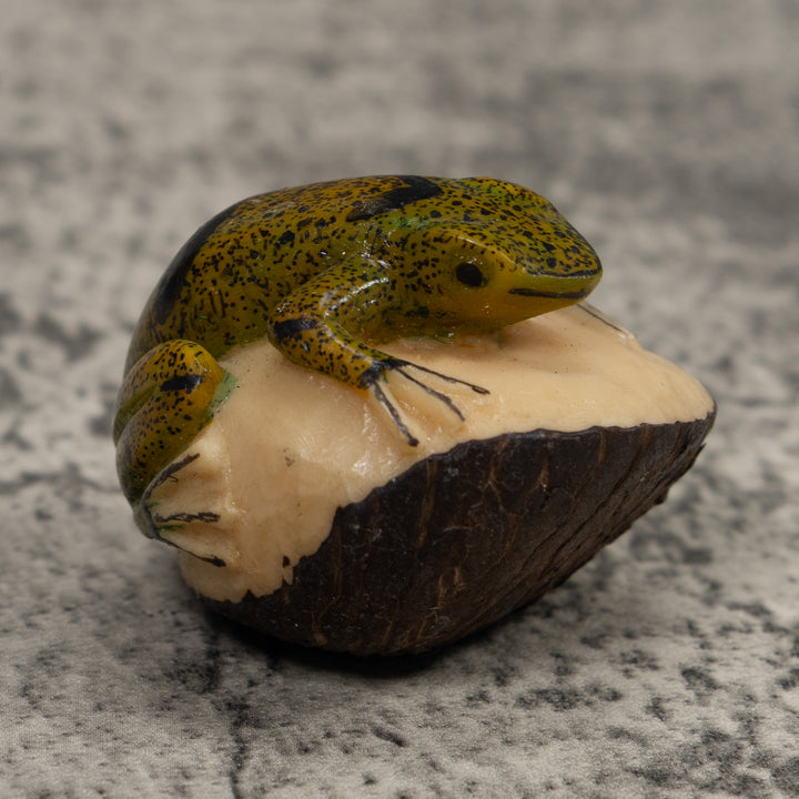 Jungle Frog Toad Tagua Carving
