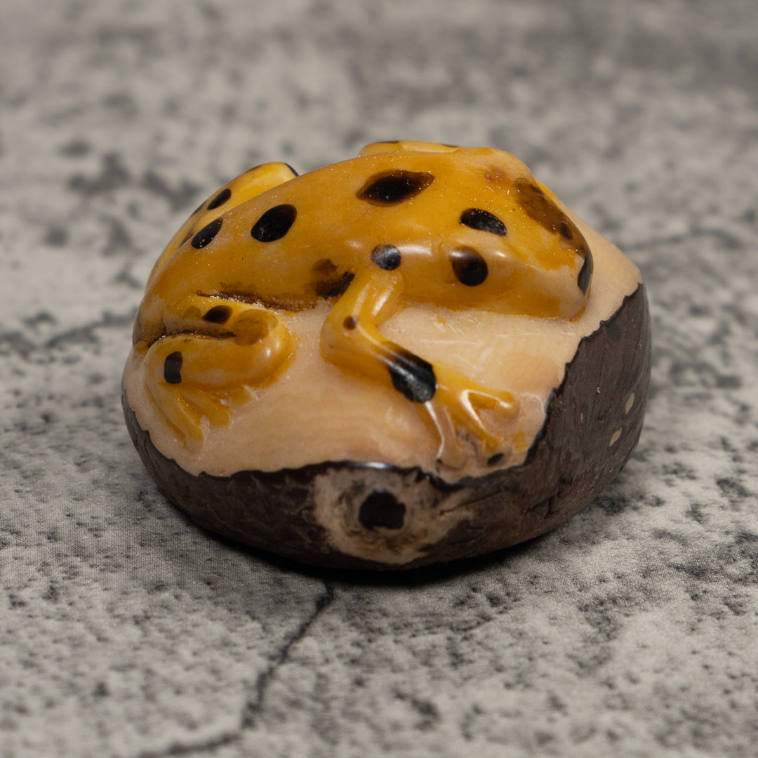 Vintage Black And Gold Frog Tagua Carving