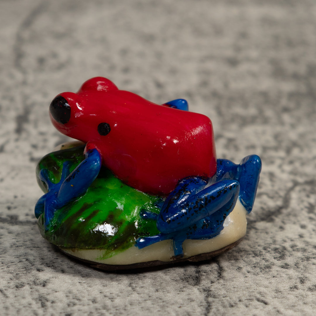 Red Blue And Green Poison Dart Frog Tagua Carving