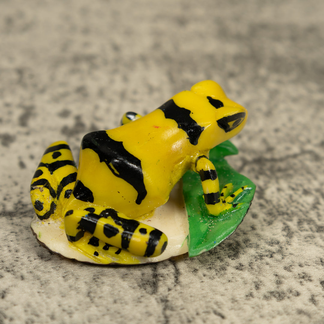Golden Frog Tagua Carving