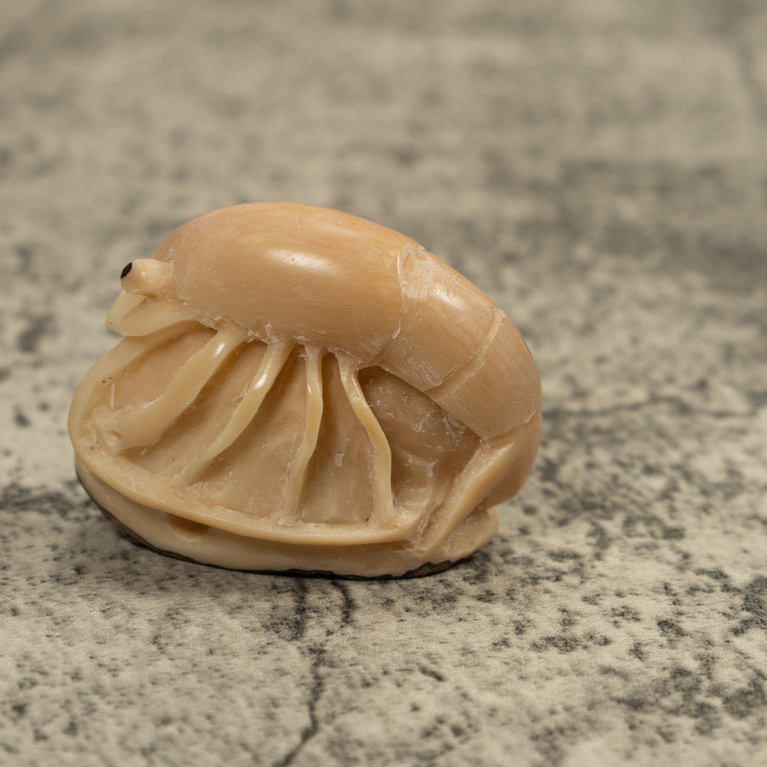 Vintage White Shrimp Tagua Carving