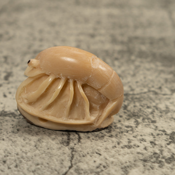 Vintage White Shrimp Tagua Carving
