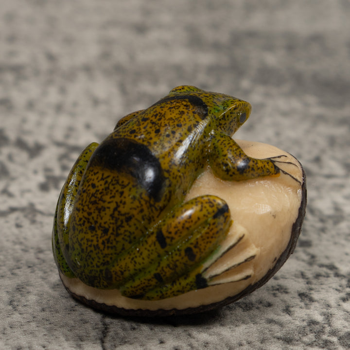 Jungle Frog Toad Tagua Carving