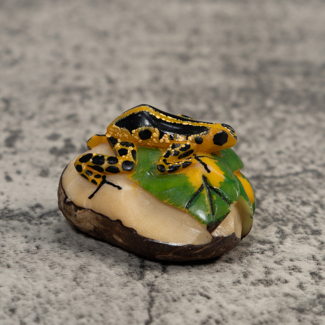 Gold And Black Poison Dart Frog Tagua Carving
