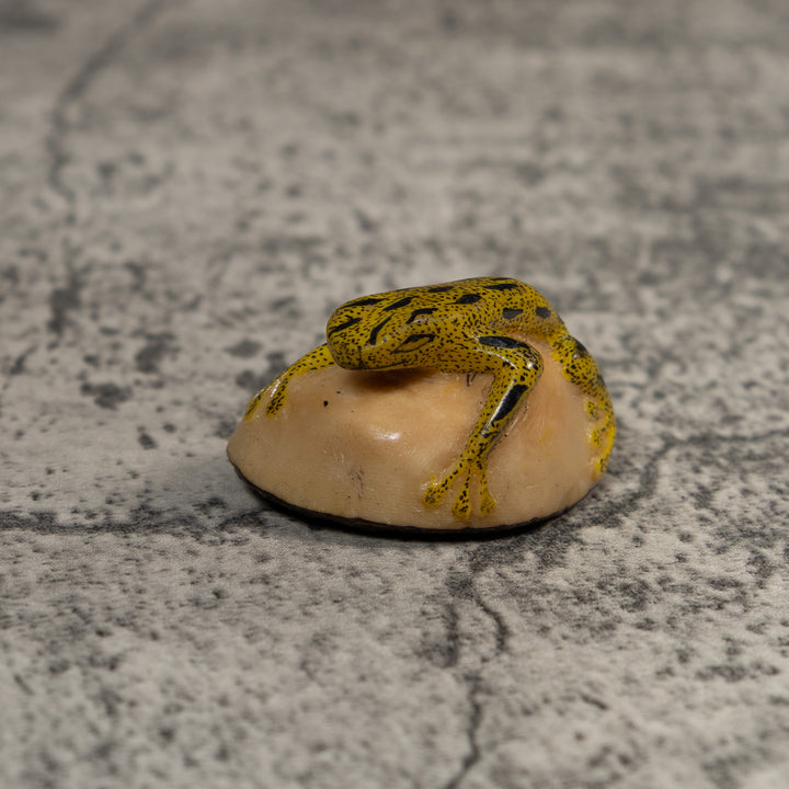 Yellow And Black Poison Dart Frog Tagua Carving