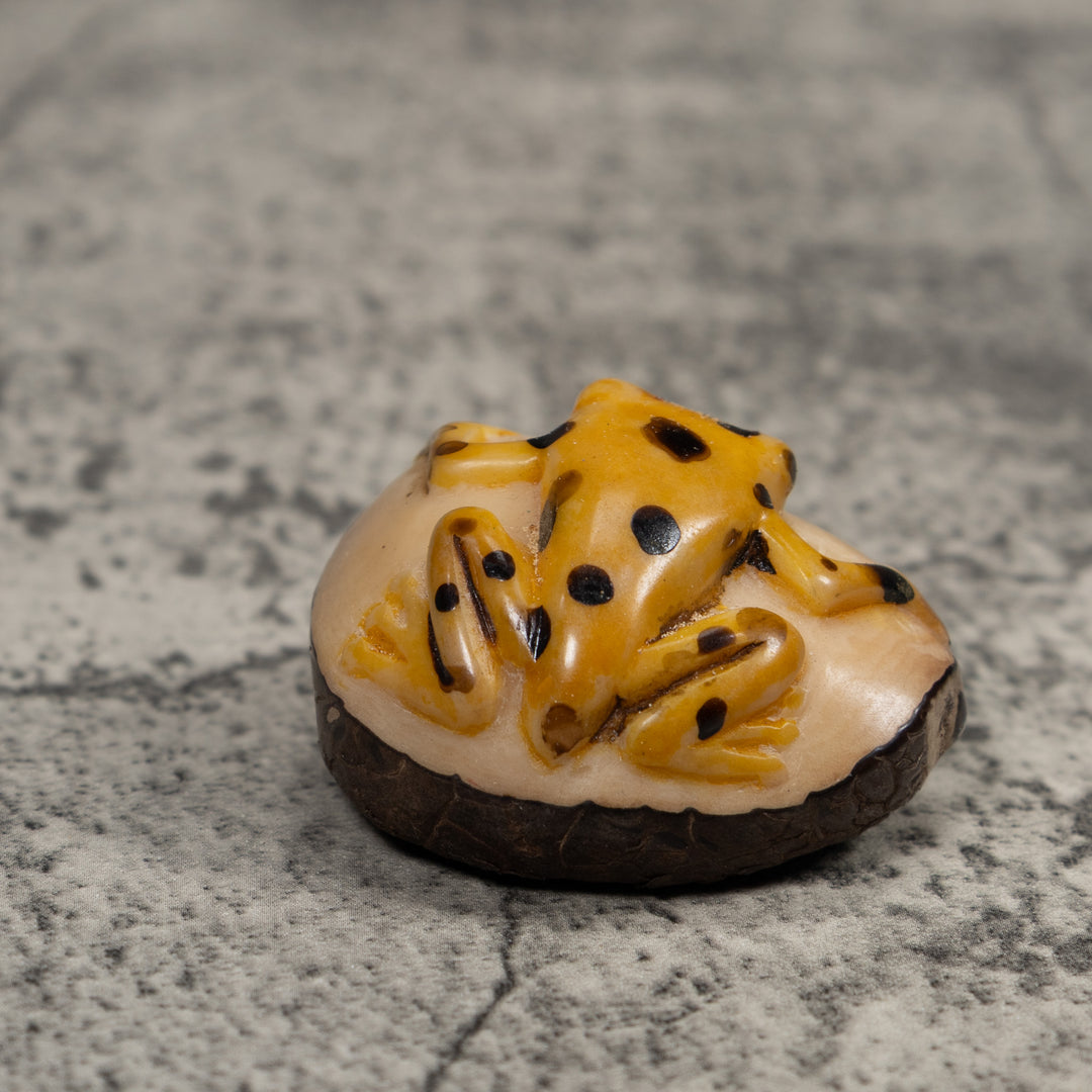 Vintage Black And Gold Frog Tagua Carving