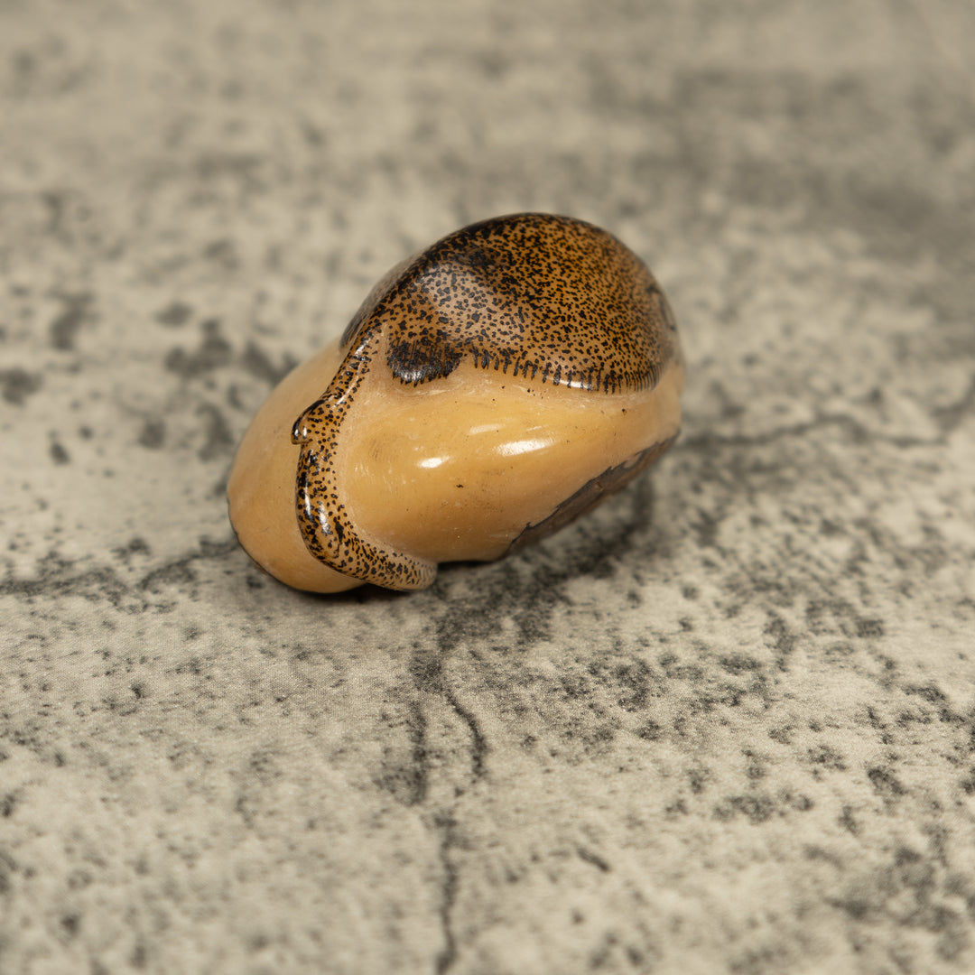 Vintage Sea Singray Tagua Carving