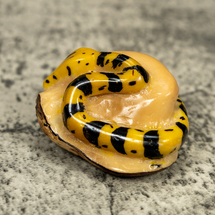 Vintage Black And Yellow Snake Tagua Carving