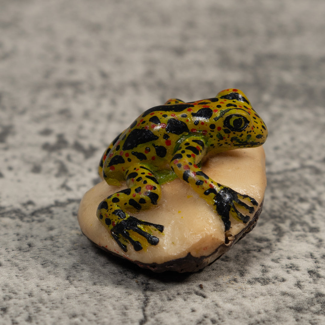 Vintage Spotted Poison Dart Frog Tagua Carving
