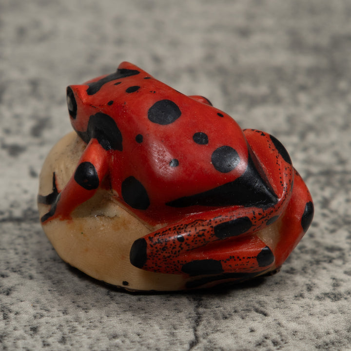 Vintage Red Poison Dart Frog Tagua Carving