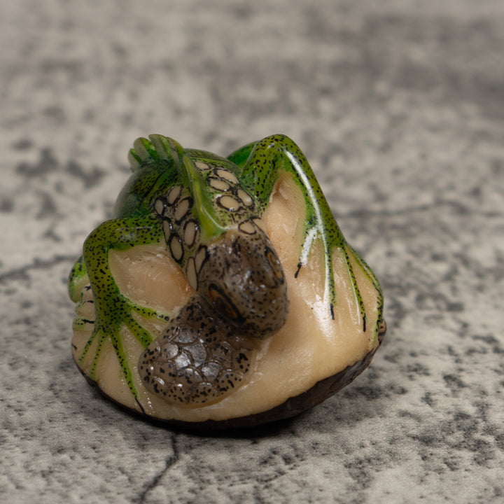 Iguana Lizard Reptile Tagua Carving