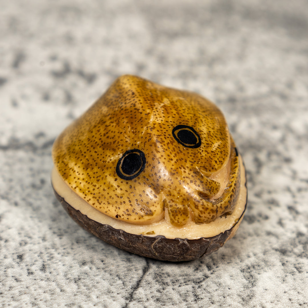 Ocean Stingray Tagua Carving