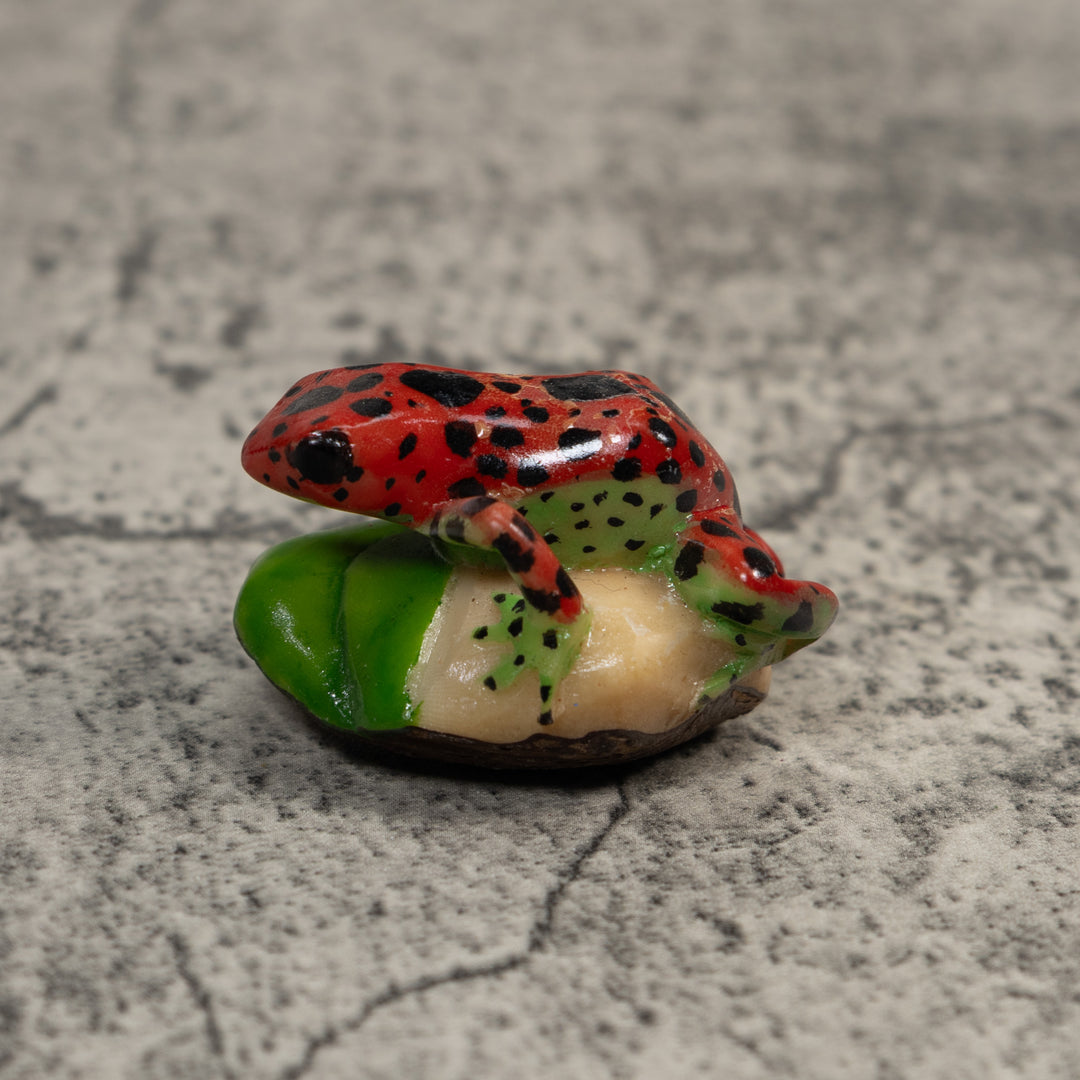 Red Black And Green Poison Dart Frog Tagua Carving