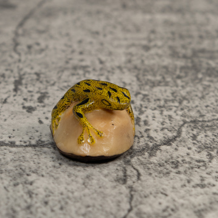 Yellow And Black Poison Dart Frog Tagua Carving