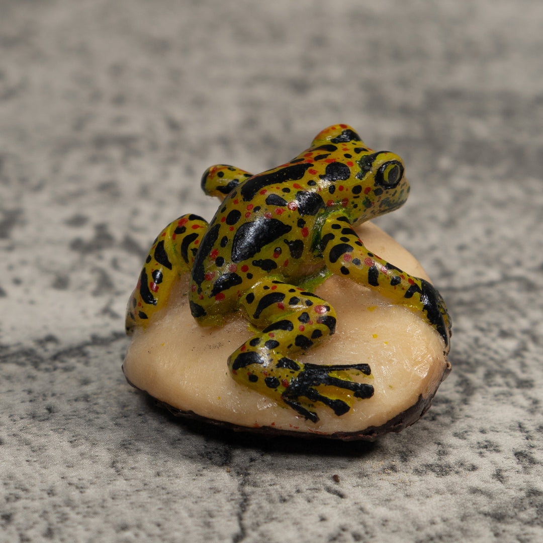 Vintage Spotted Poison Dart Frog Tagua Carving