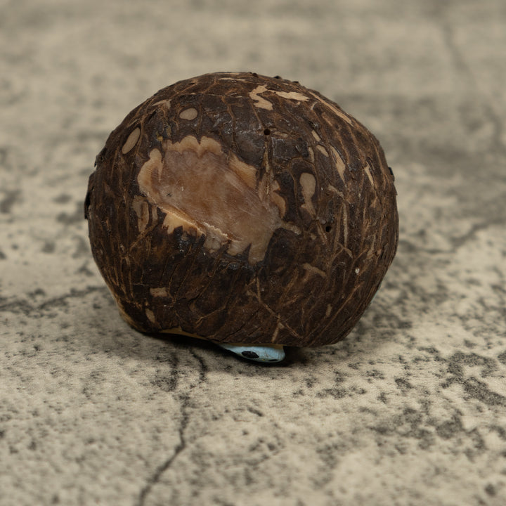 Poison Dart Frog Tagua Carving