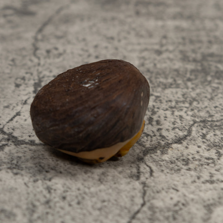 Vintage Black And Gold Frog Tagua Carving