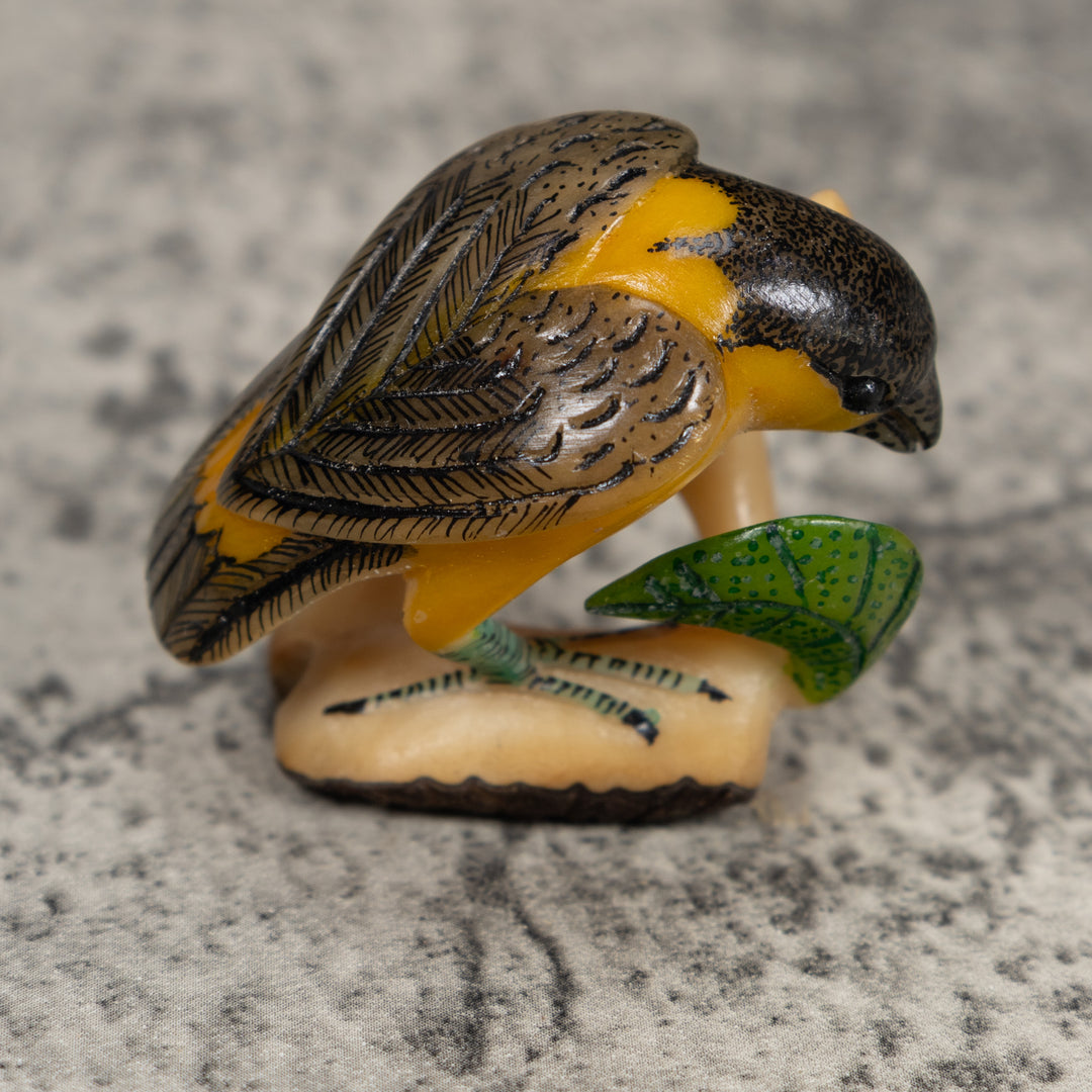 Undercut Oriole Bird Tagua Carving