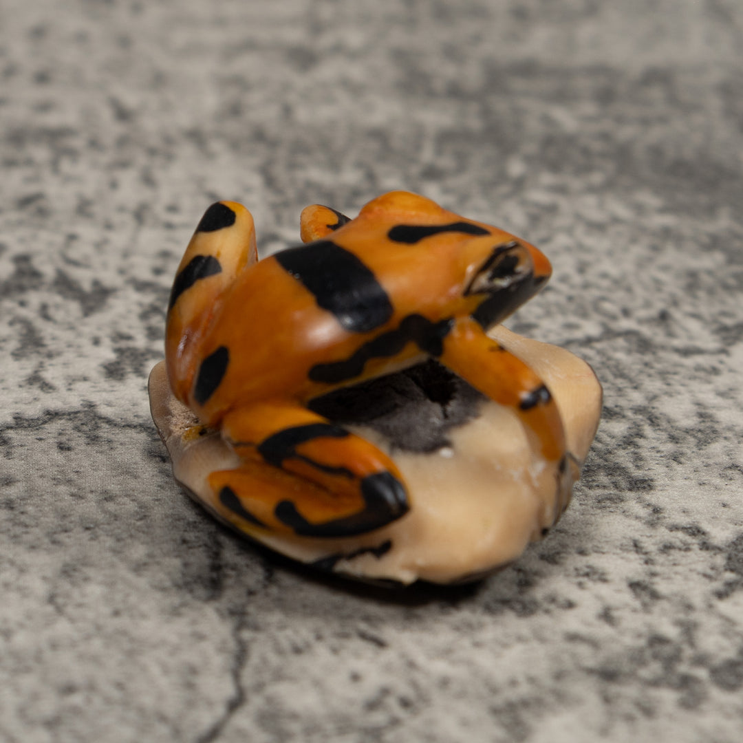 Vintage Black And Gold  Poison Dart Frog Tagua Carving