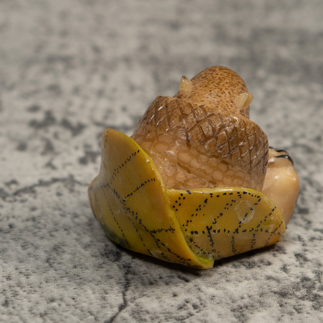 Vintage Armadillo Tagua Carving