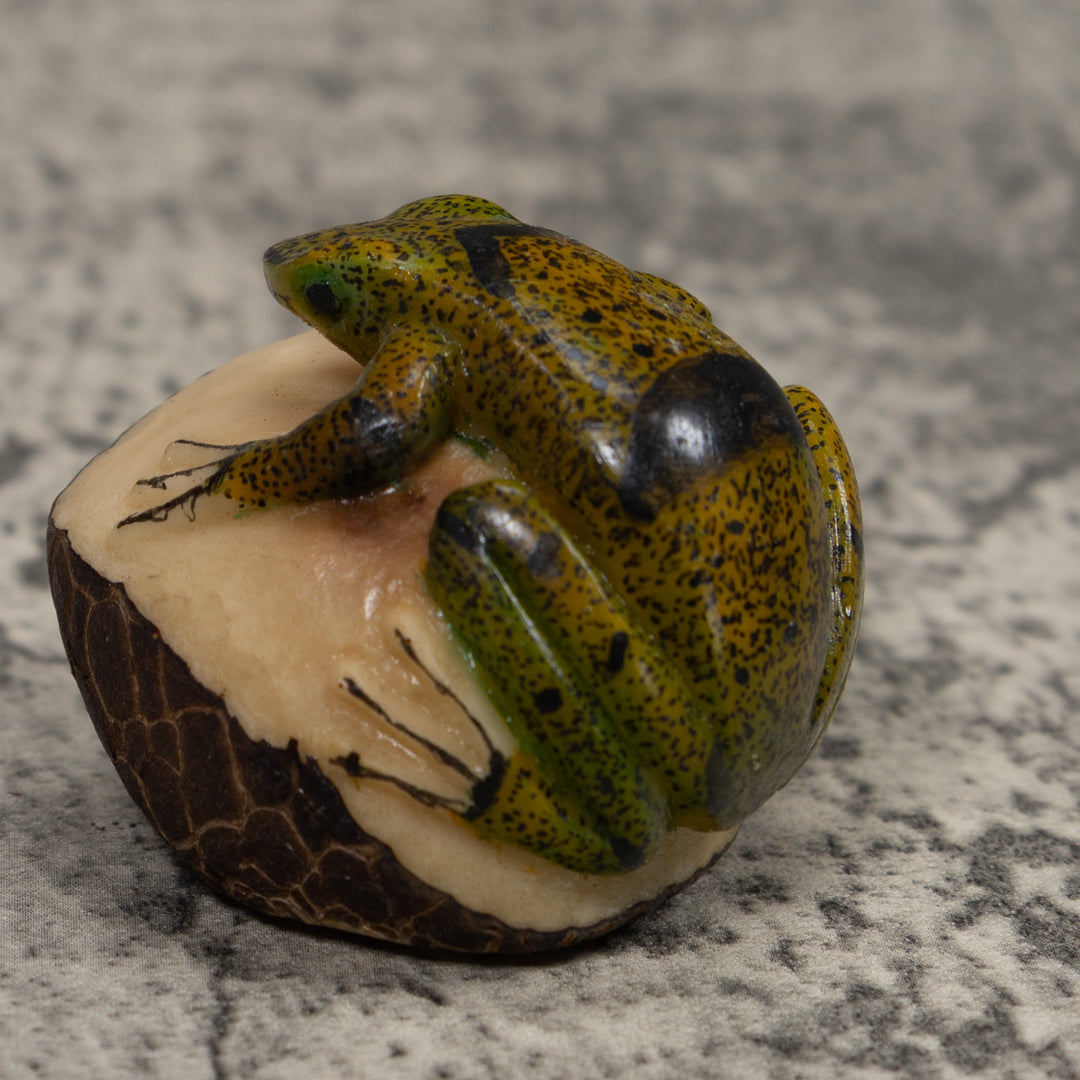 Jungle Frog Toad Tagua Carving