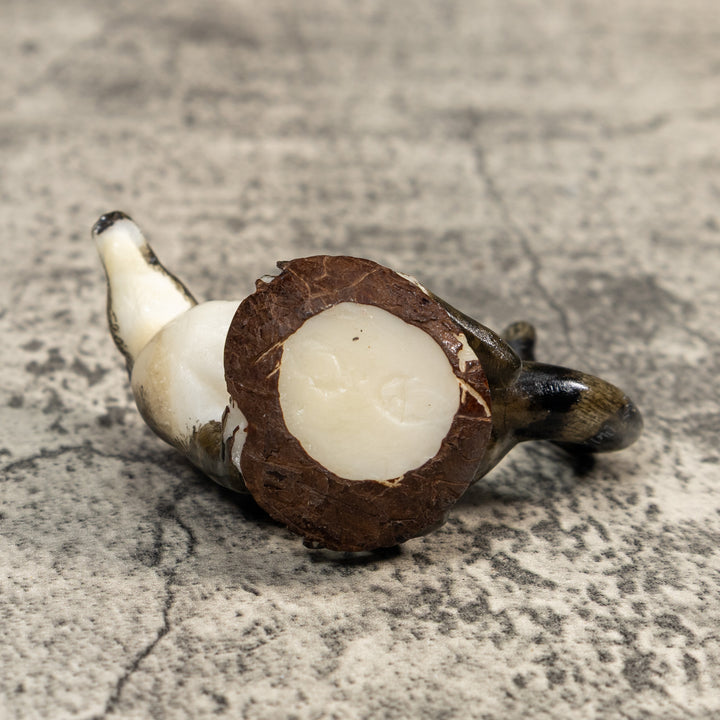 Gorgeous Coatimundi Tagua Carving