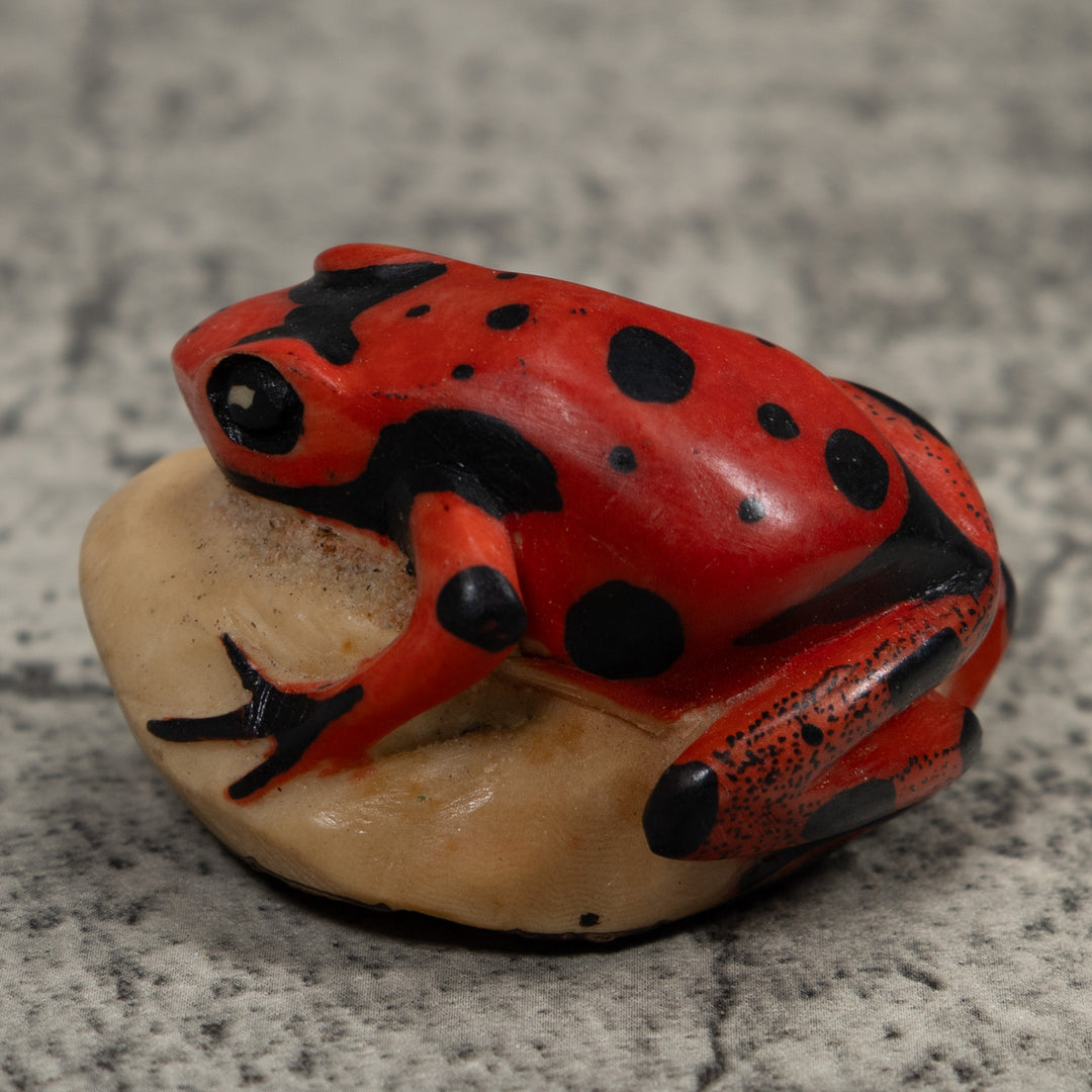Vintage Red Poison Dart Frog Tagua Carving