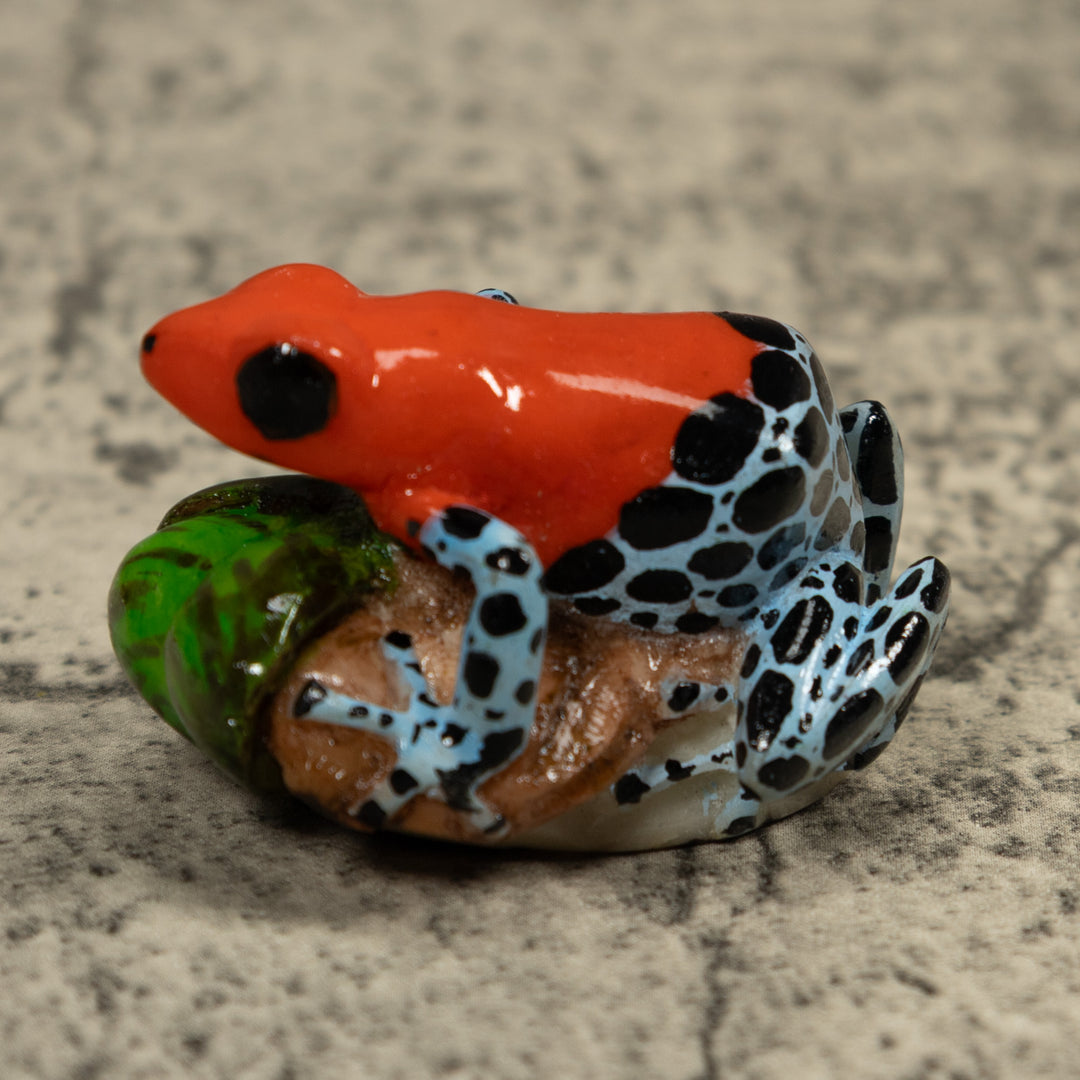 Red And Blue Poison Dart Frog Tagua Carving