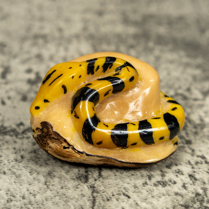 Vintage Black And Yellow Snake Tagua Carving