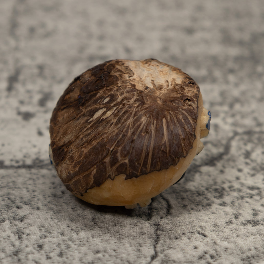 Poison Dart Frog Tagua Carving